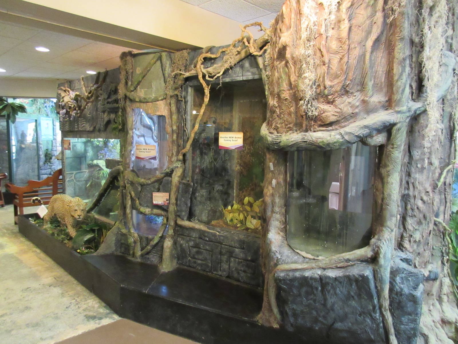 Discovery Center - Empty Terrariums