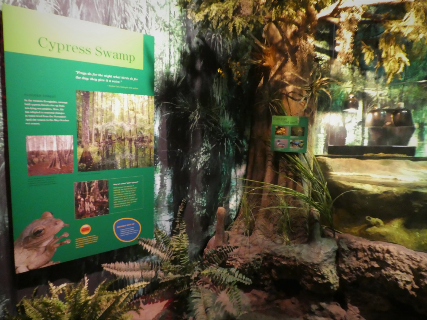 Discovery Center - Everglades