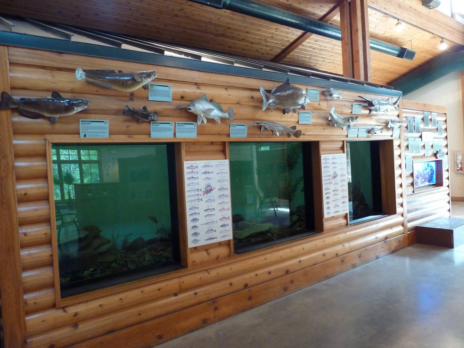 Discovery Center - Fish Tanks