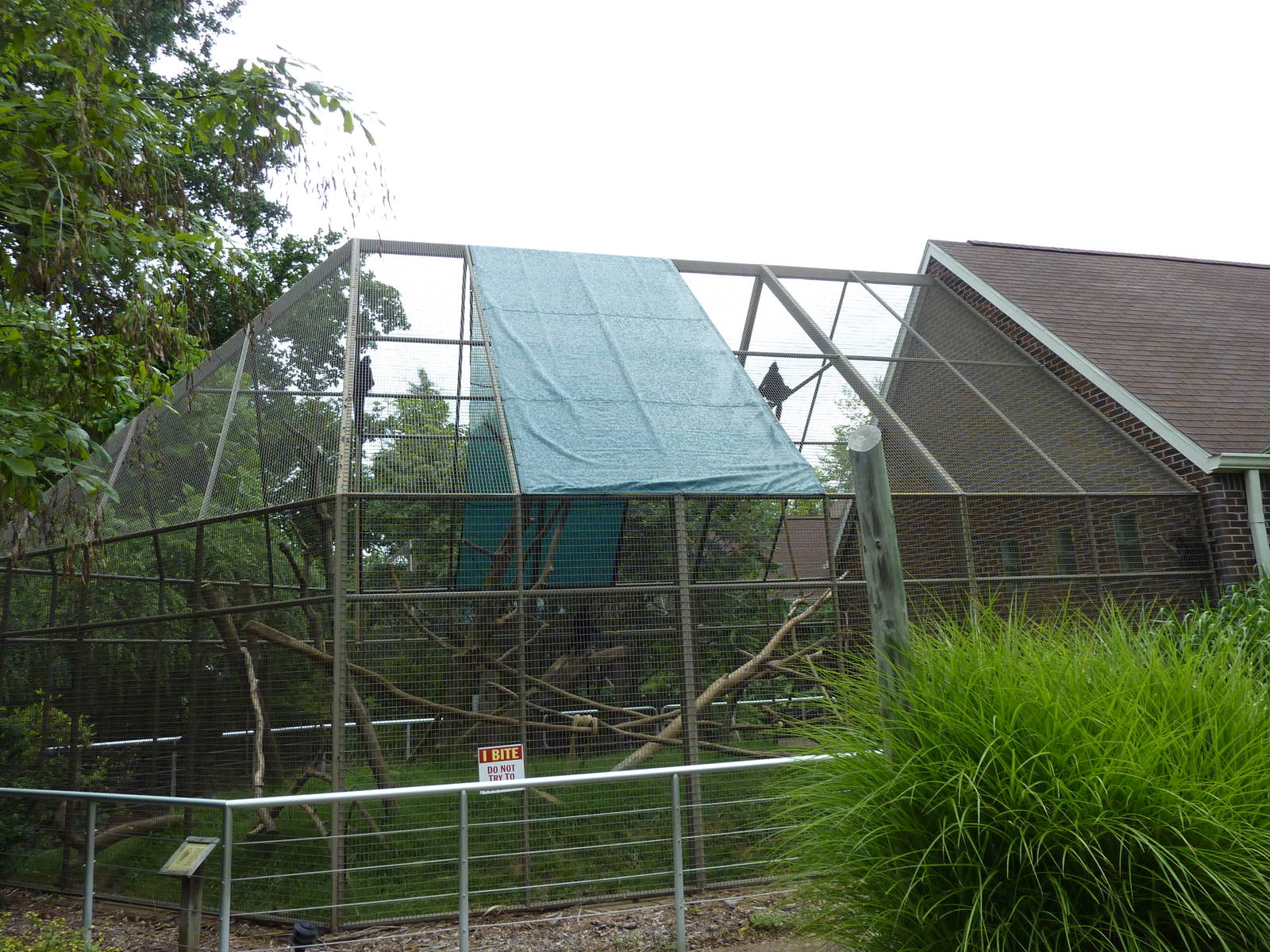 Discovery Center - Francois Langur Exhibit