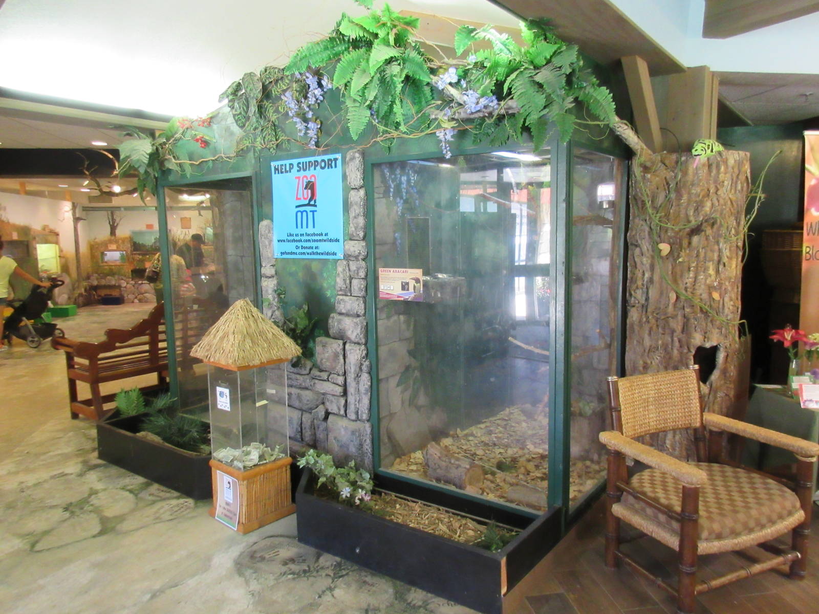 Discovery Center - Green Aracari Exhibit (Glass Box)