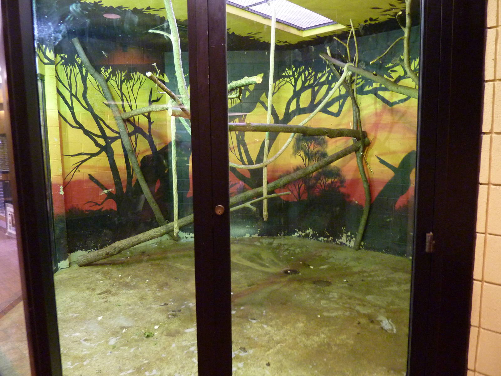 Discovery Center - Hyacinth Macaw Exhibit