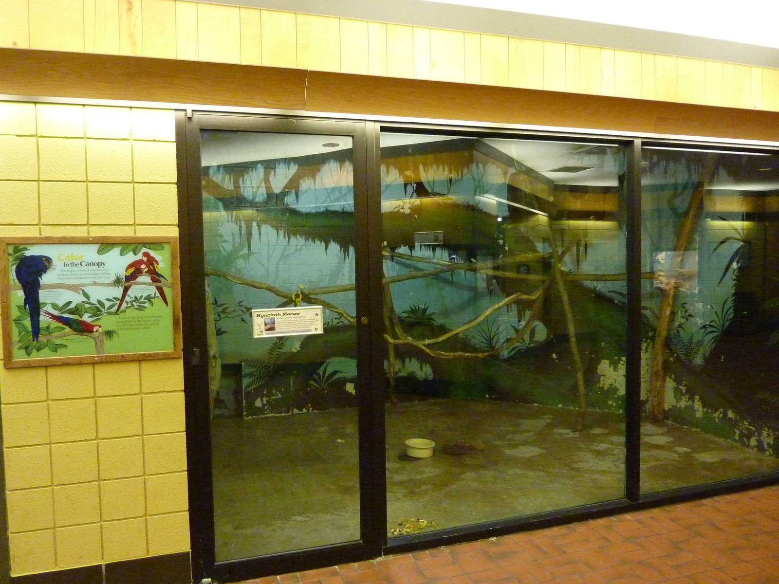 Discovery Center - Hyacinth Macaw Exhibit