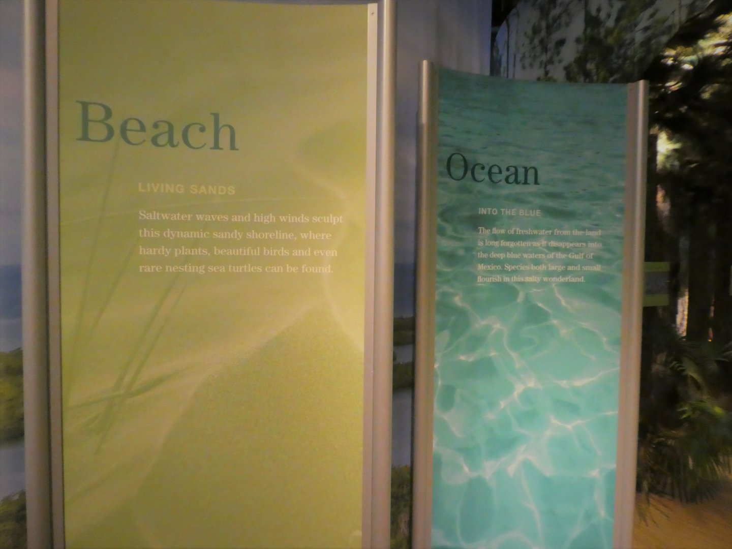 Discovery Center - Introduction Gallery Signage