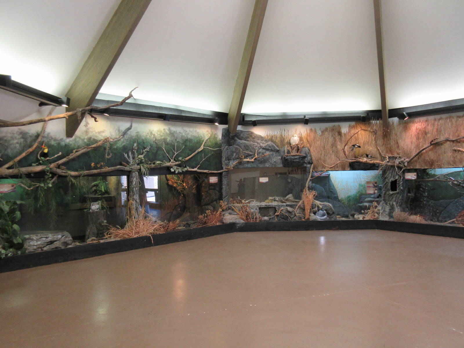 Discovery Center - Living Wall Terrariums