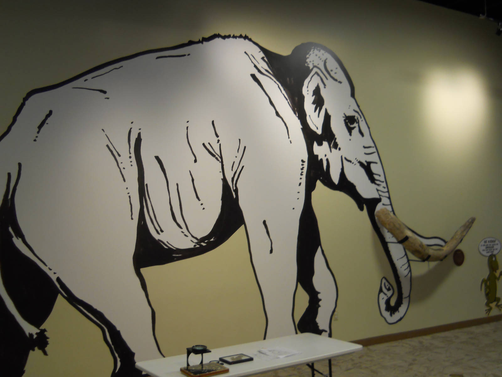 Discovery Center mammoth tusk
