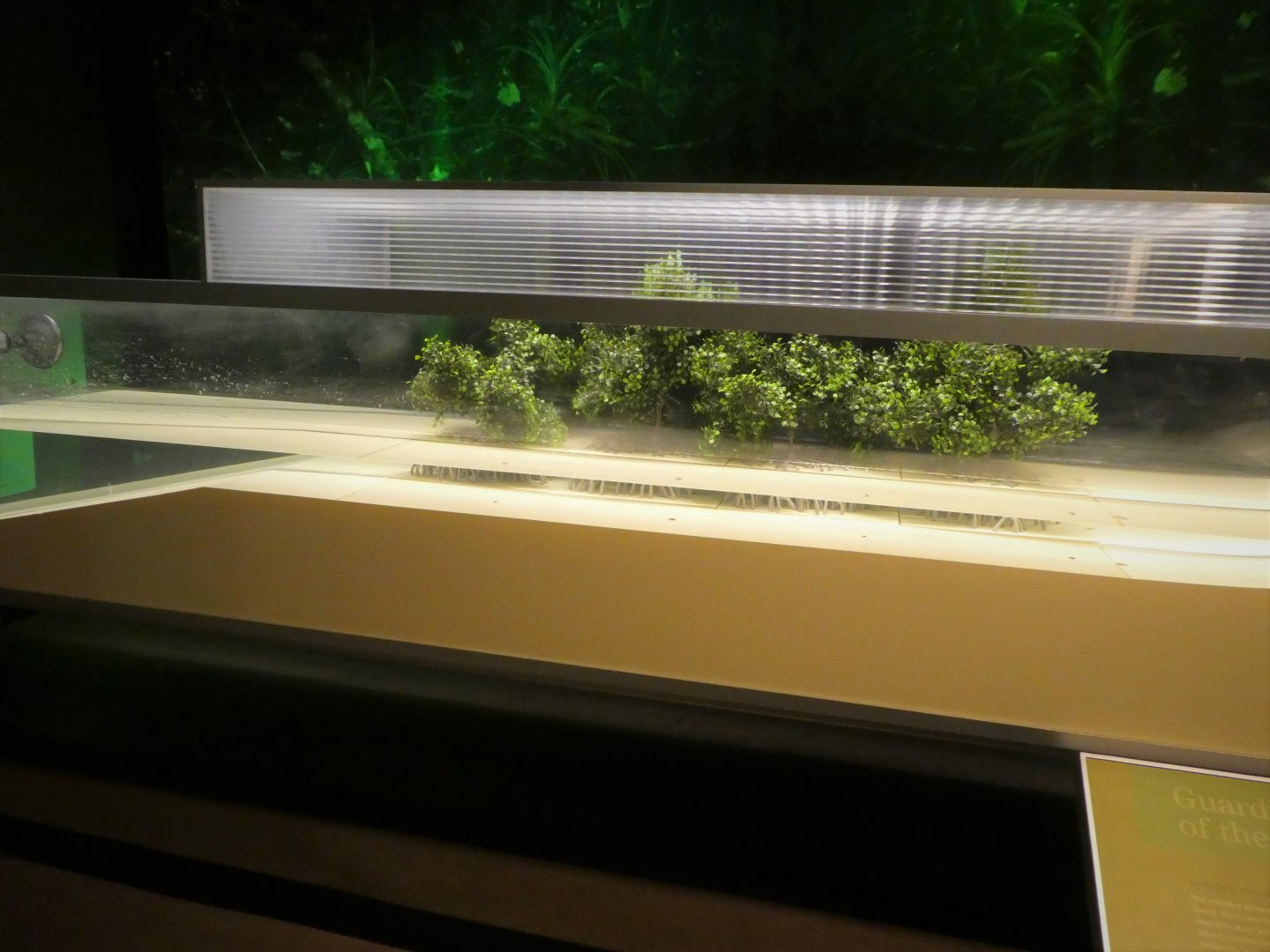 Discovery Center - Mangroves - Erosion Interactive Display