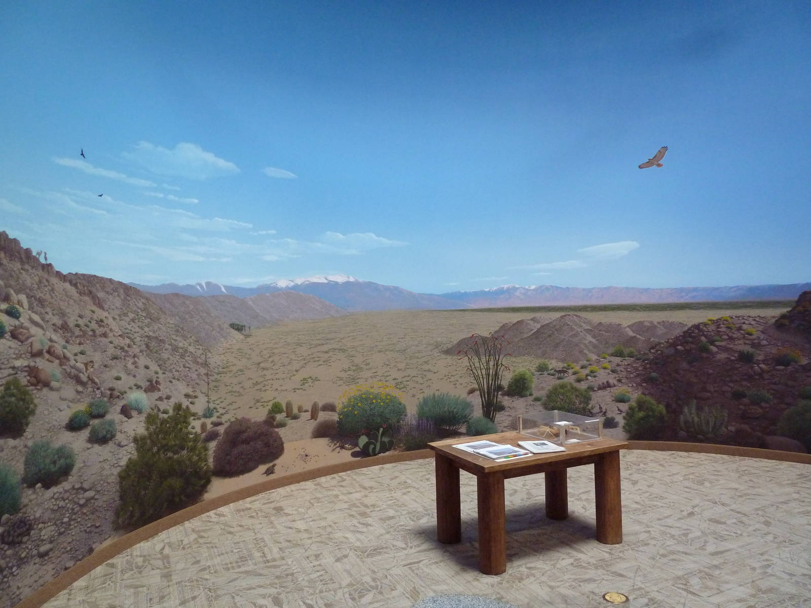 Discovery Center - Mural