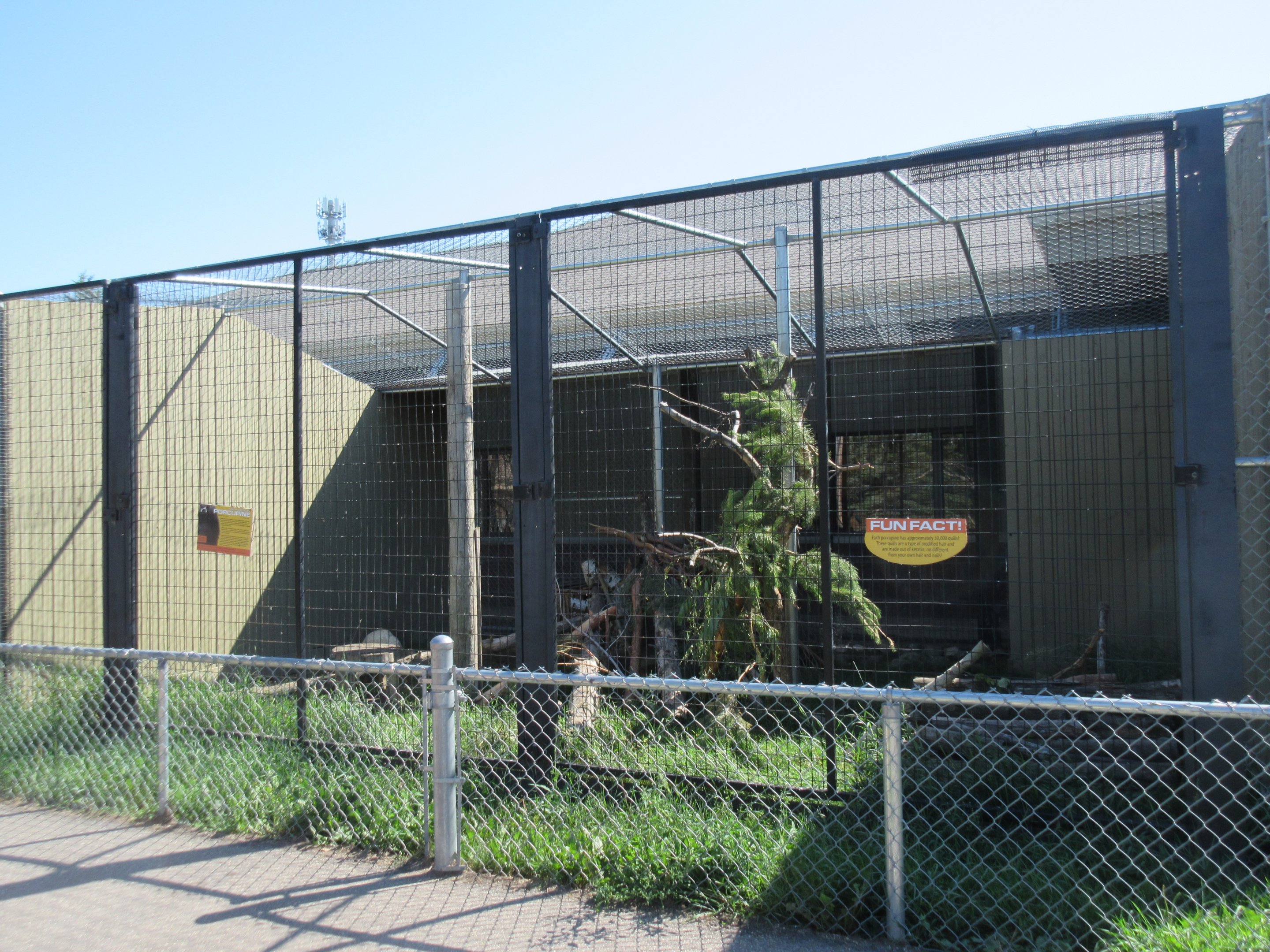 Discovery Center - North American Porcupine Exhibit