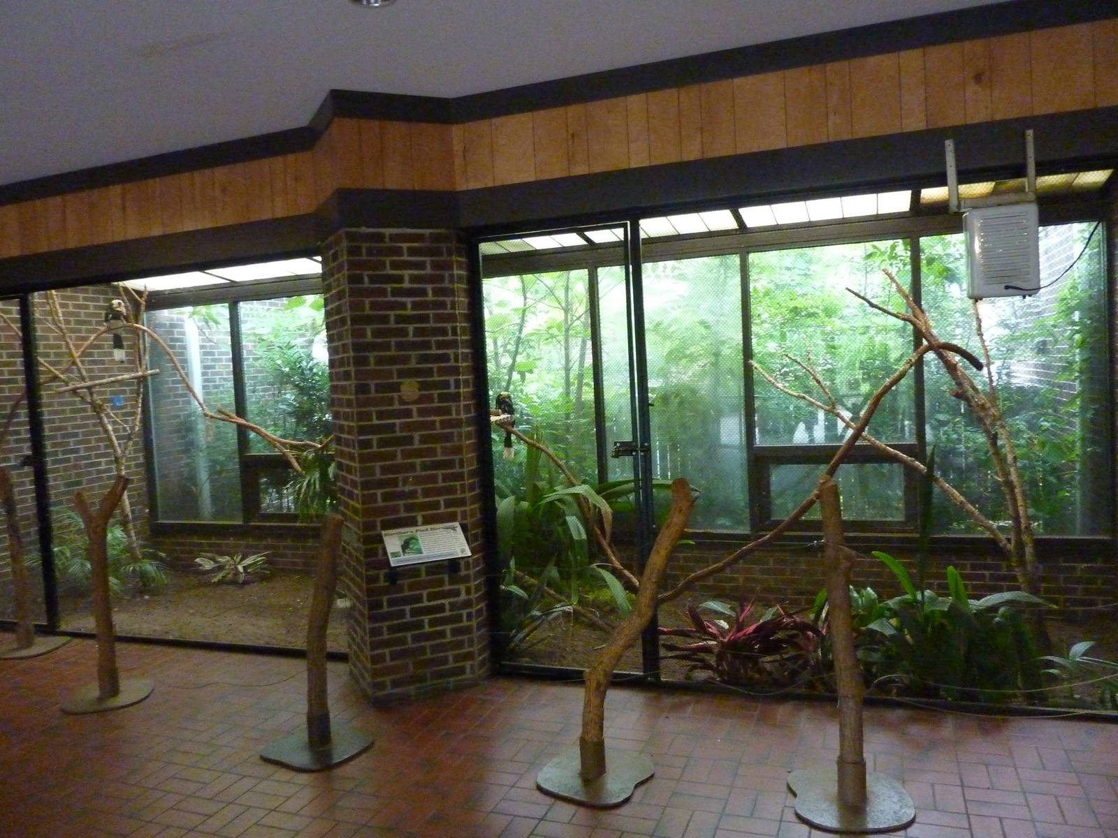 Discovery Center - Northern Pied Hornbill Exhibit