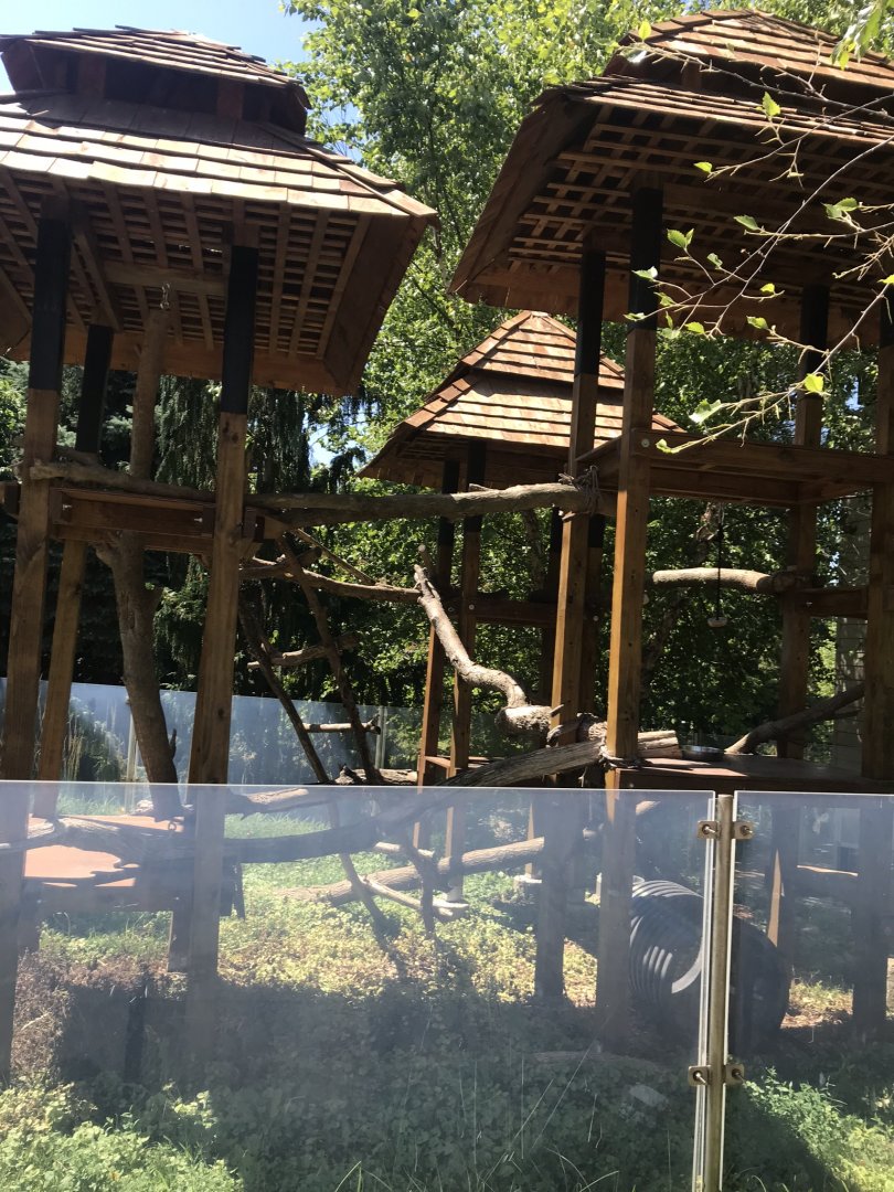 Discovery center outdoor Red panda exhibit