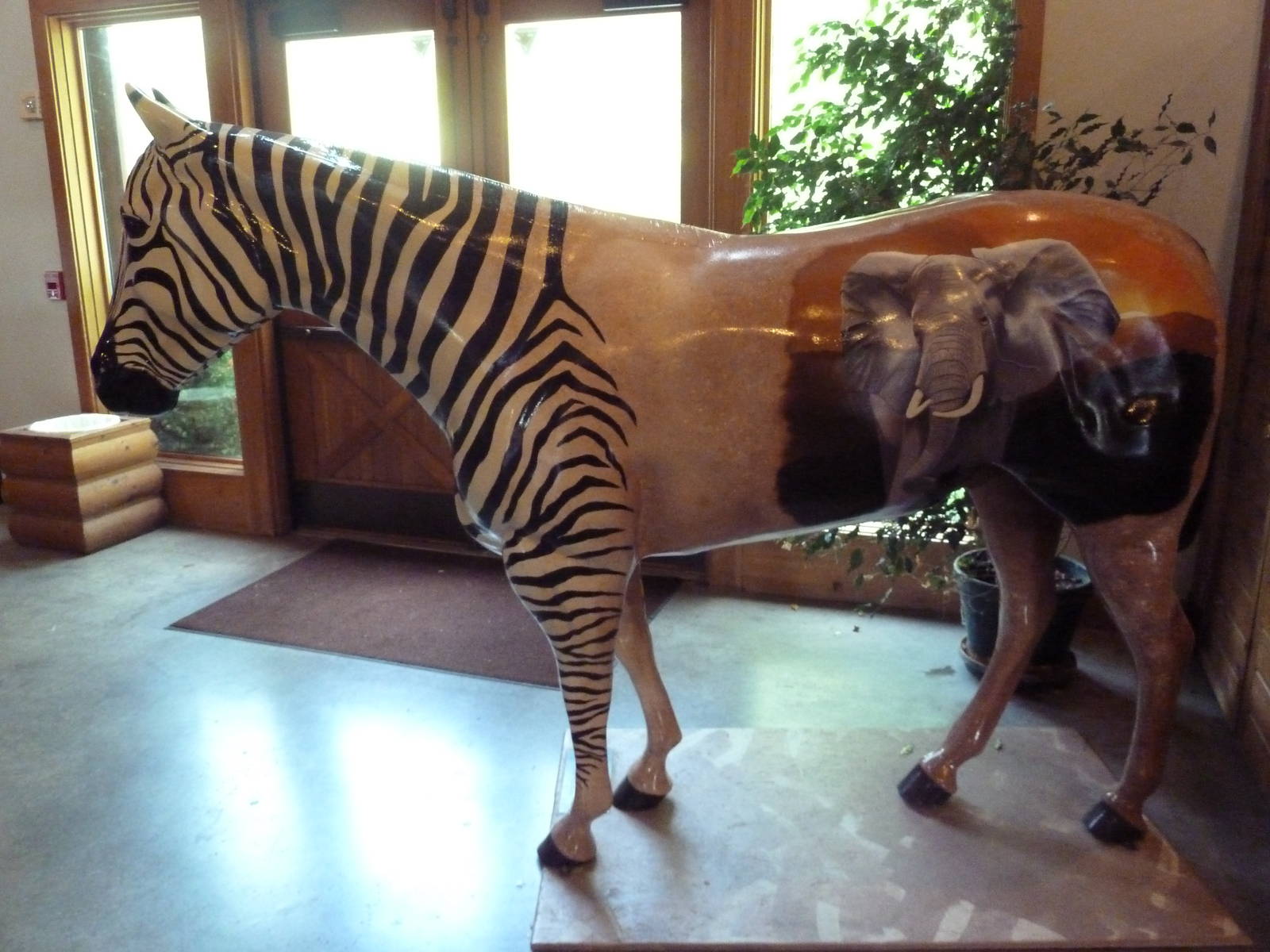 Discovery Center - Painted Zebra