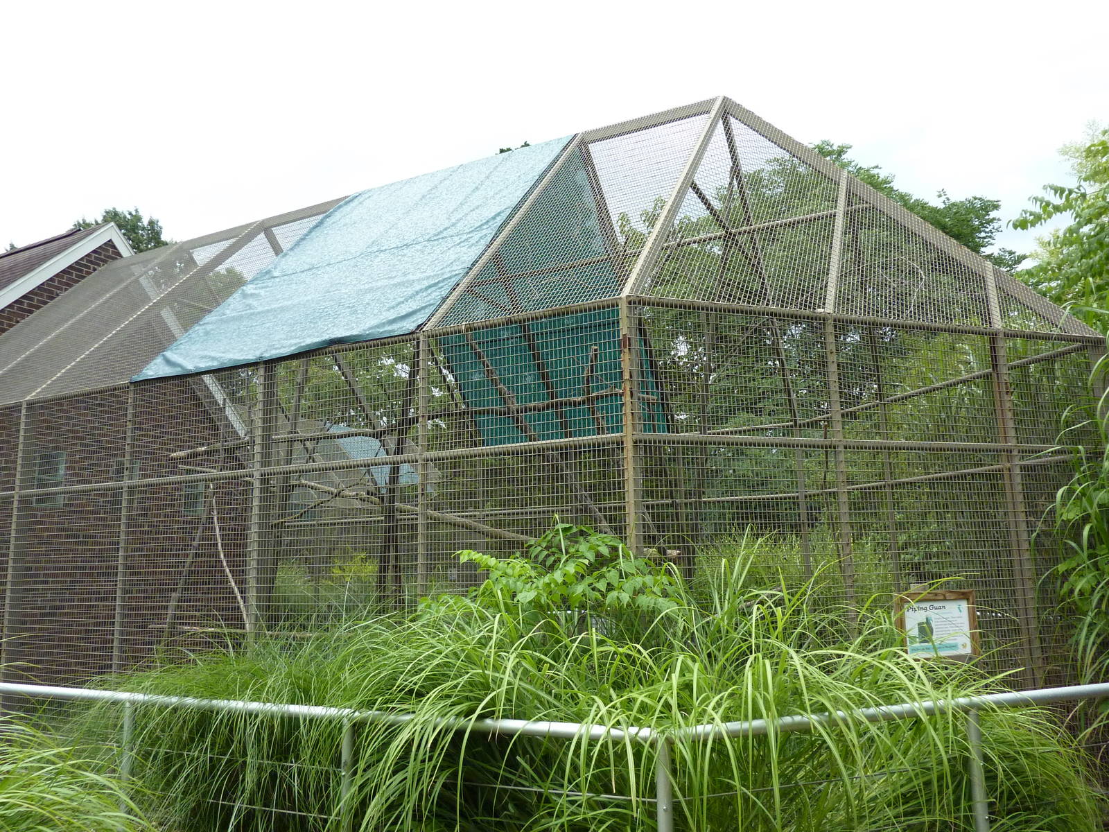 Discovery Center - Piping Guan Exhibit