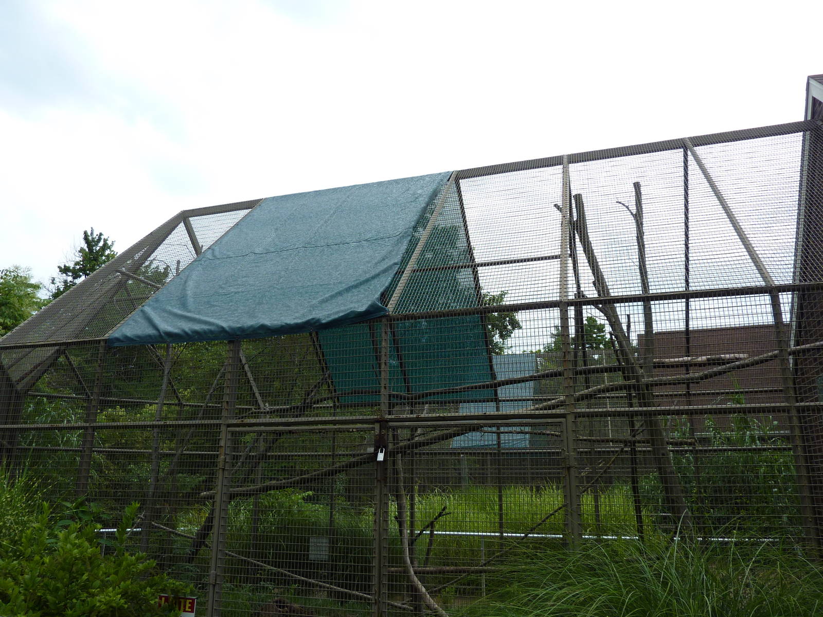Discovery Center - Piping Guan Exhibit