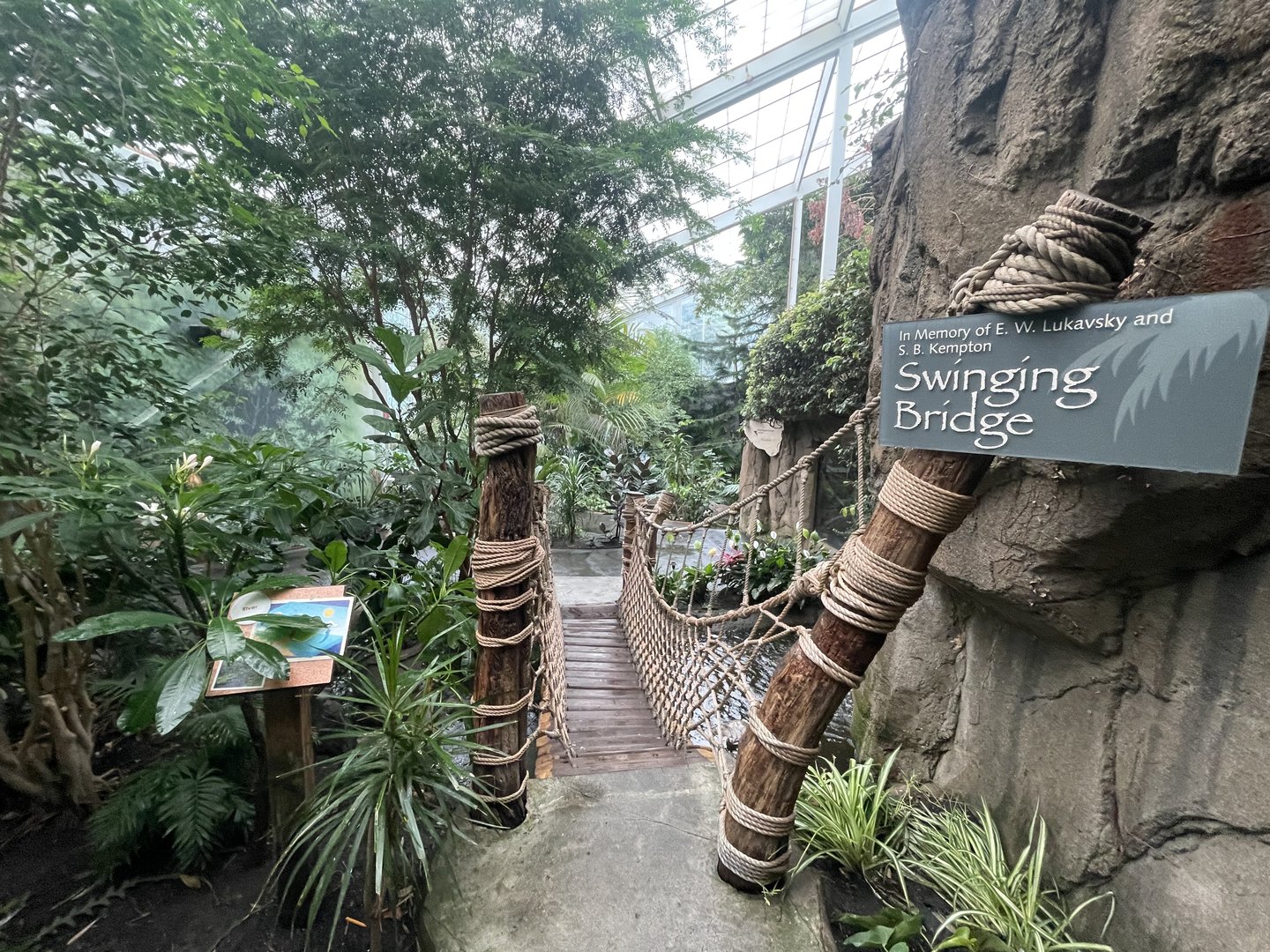 Discovery Center Rainforest
