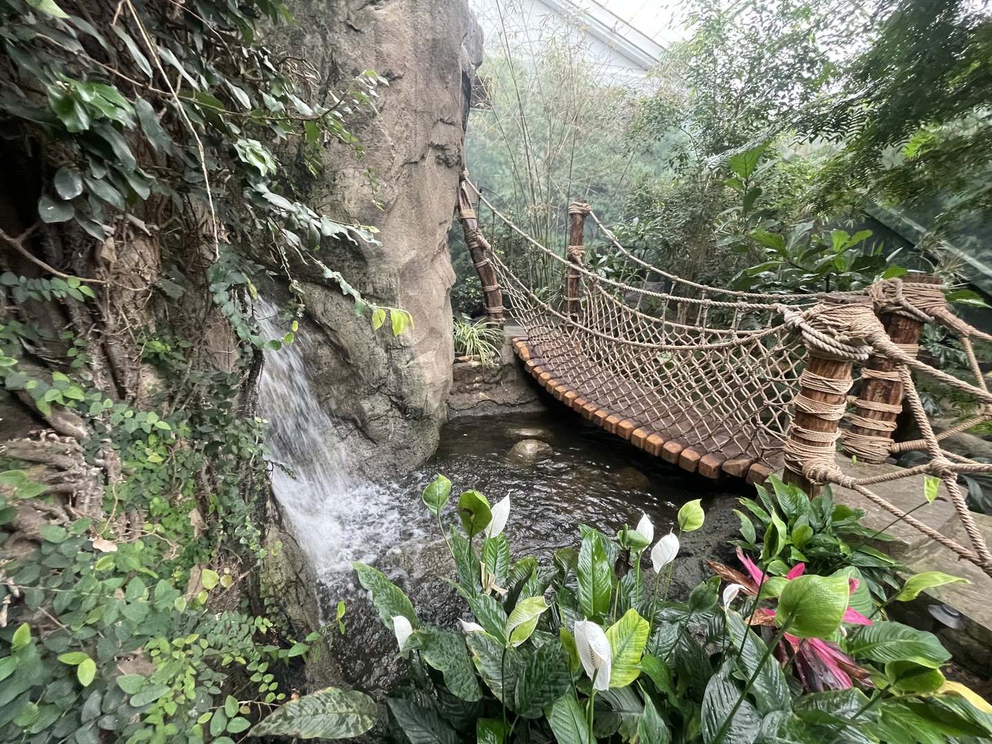 Discovery Center Rainforest