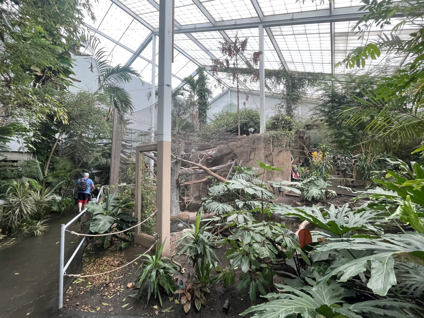 Discovery Center Rainforest