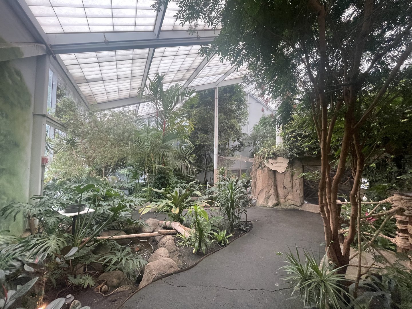 Discovery Center Rainforest