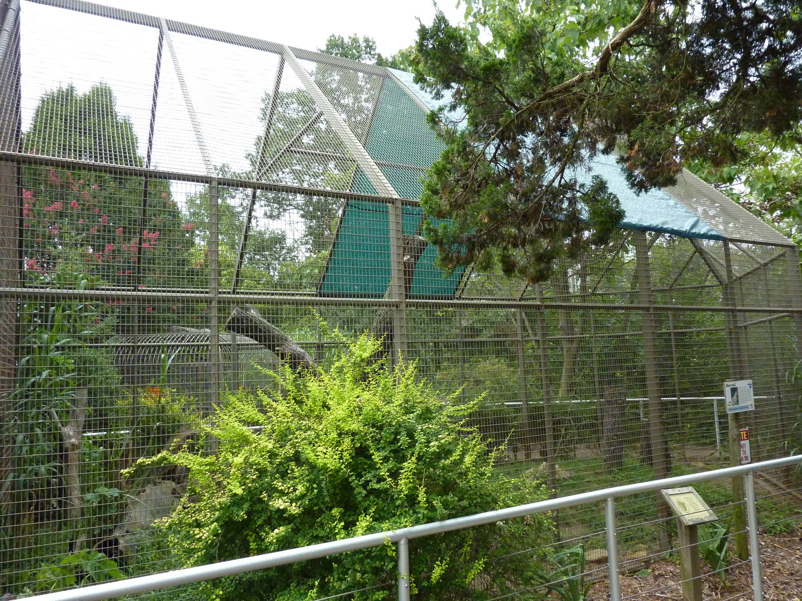 Discovery Center -Serval Exhibit