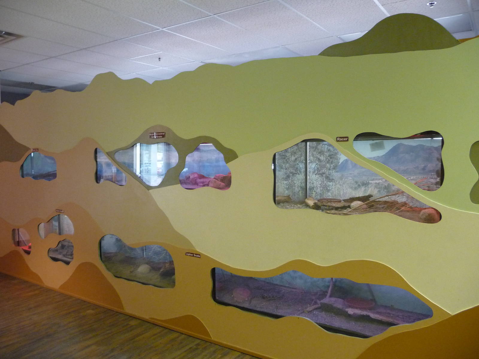 Discovery Center - Terrariums