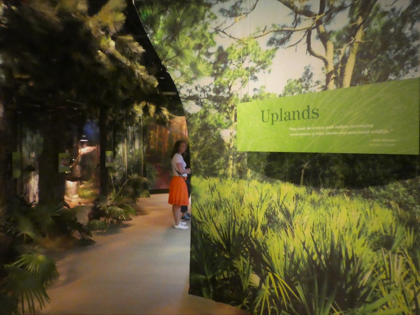 Discovery Center - Uplands