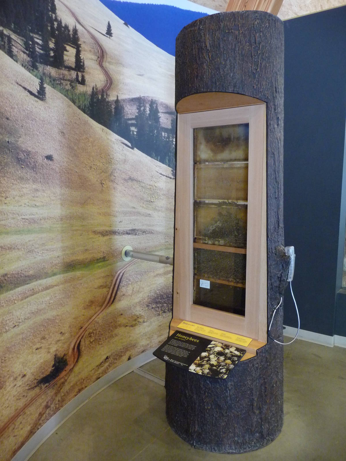 Discovery Centre - Bee Hive