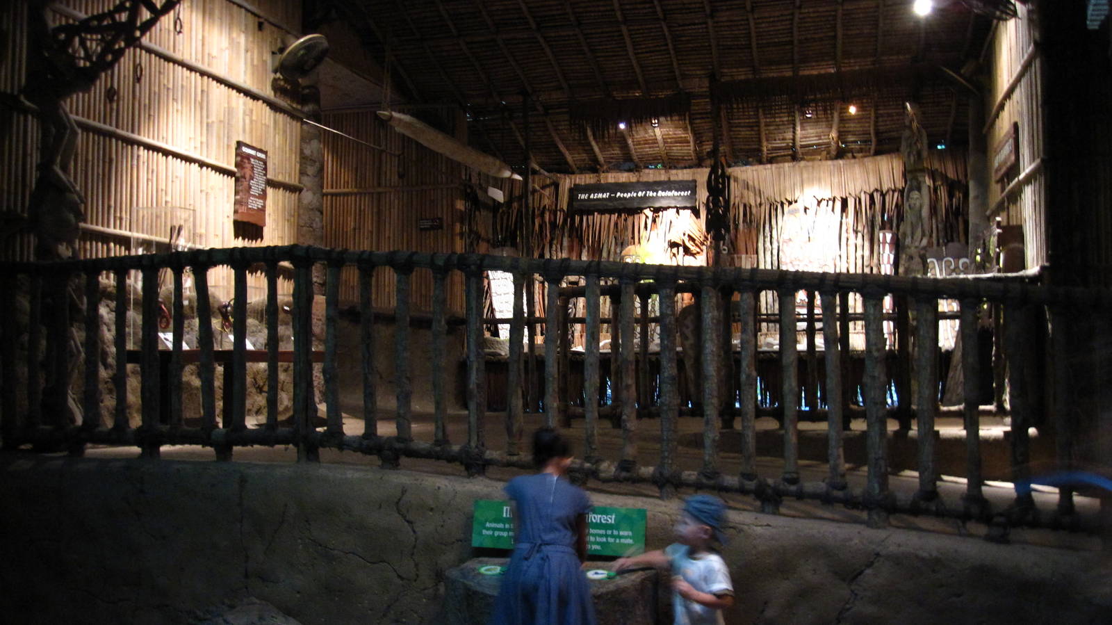 Discovery Centre, Fragile Forest