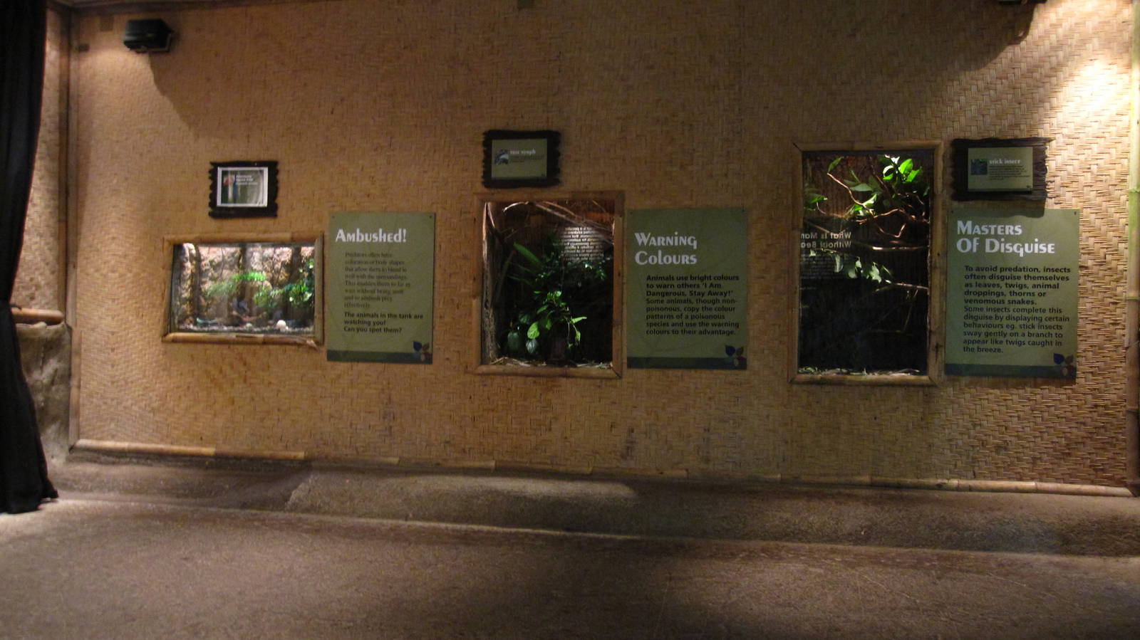 Discovery Centre, Fragile Forest