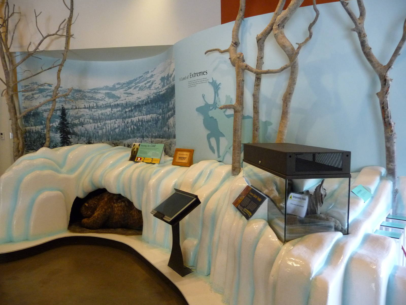 Discovery Centre - Hibernation!