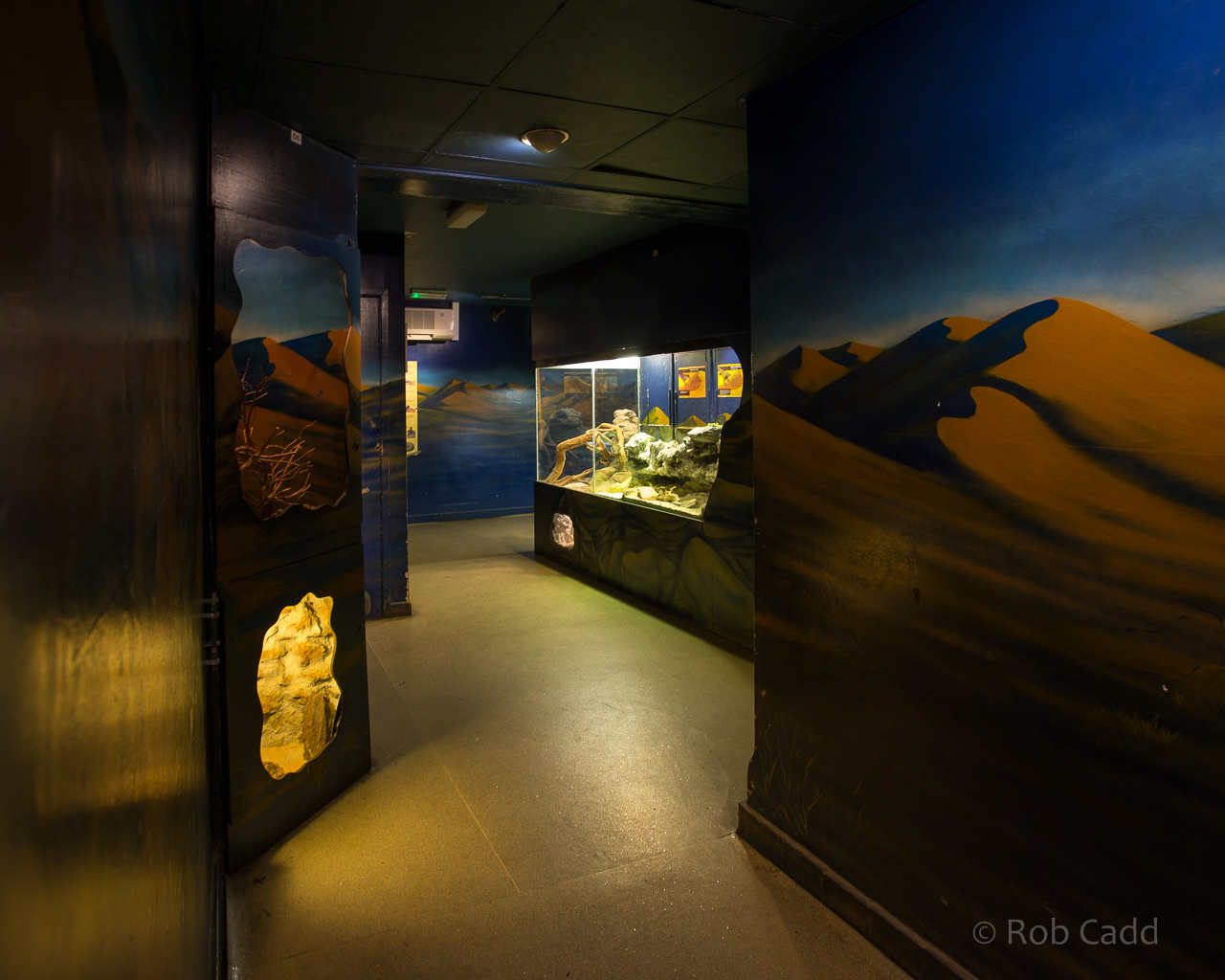 Discovery Centre : Whipsnade : 18 Jul 2014