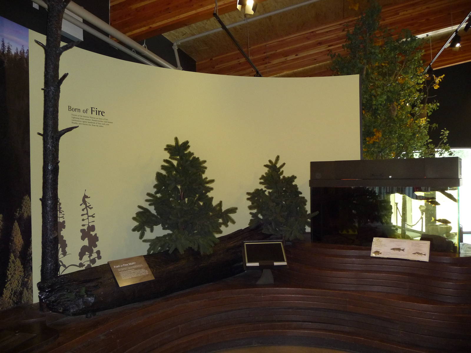 Discovery Centre