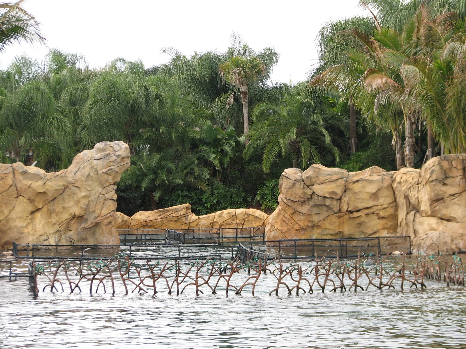 Discovery Cove - Dolphin Lagoon - Holding Area