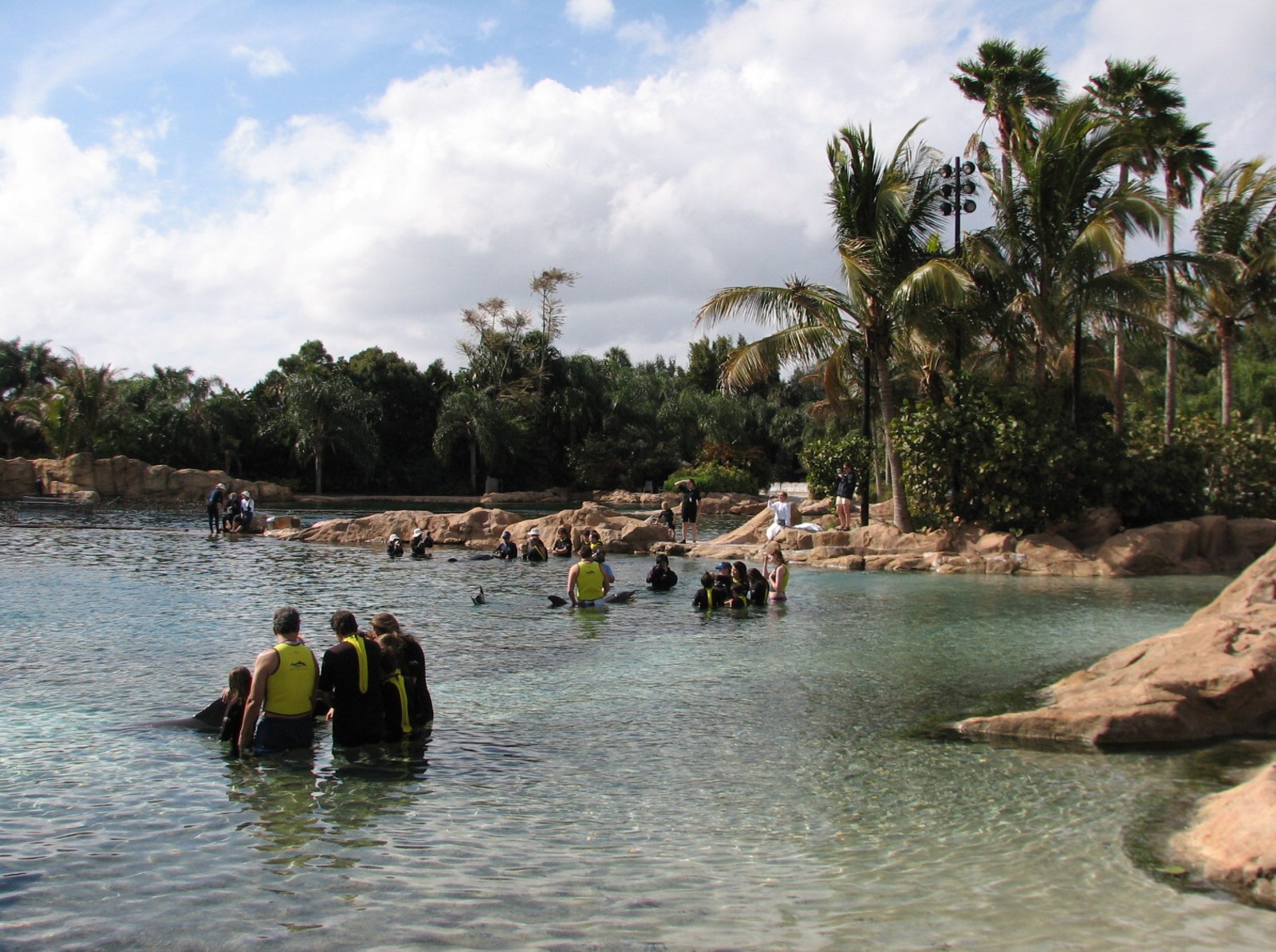 Discovery Cove - Dolphin Lagoon - Interaction Session