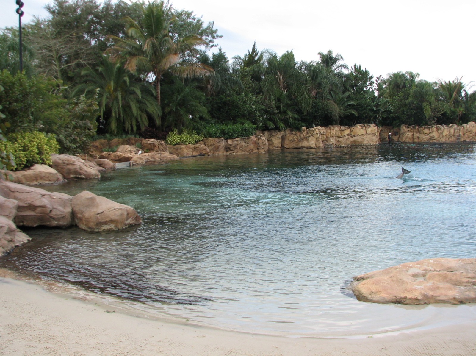 Discovery Cove - Dolphin Lagoon
