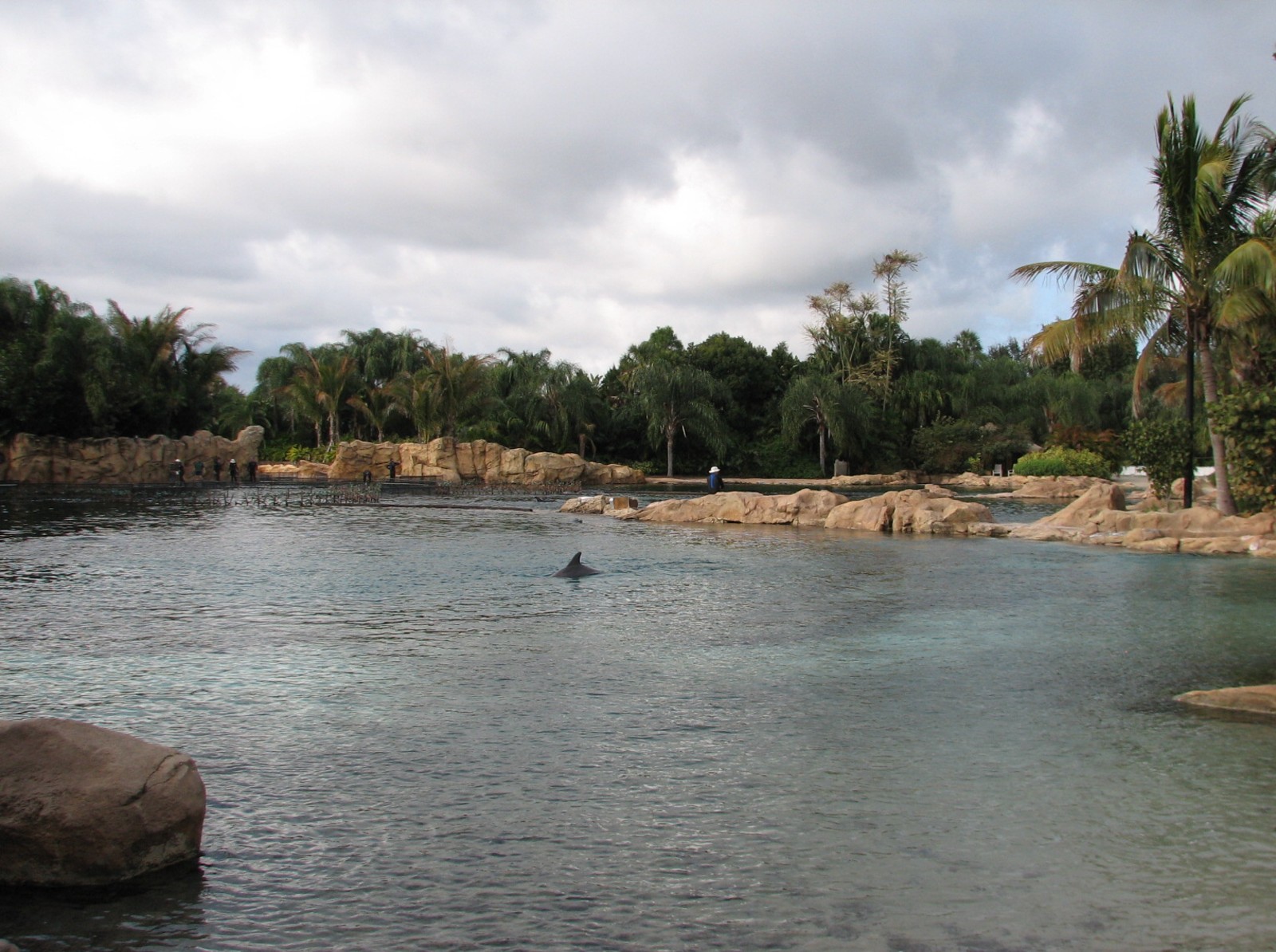 Discovery Cove - Dolphin Lagoon