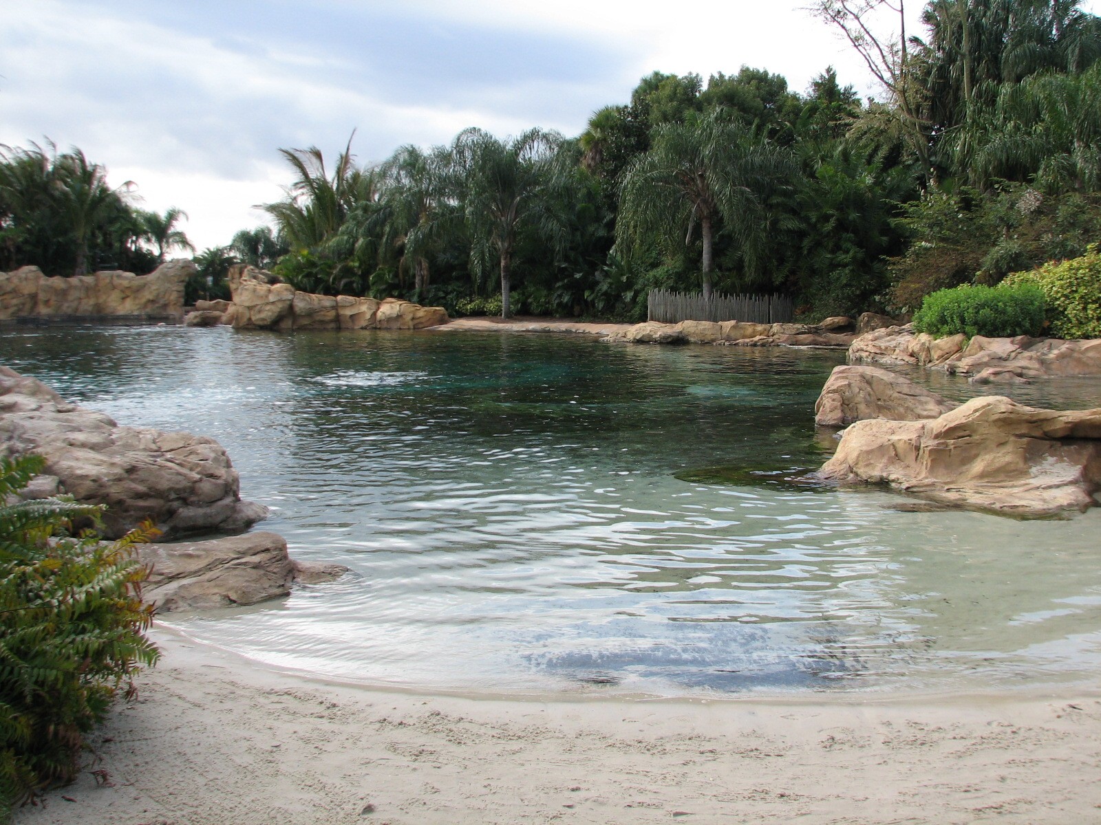 Discovery Cove - Dolphin Lagoon