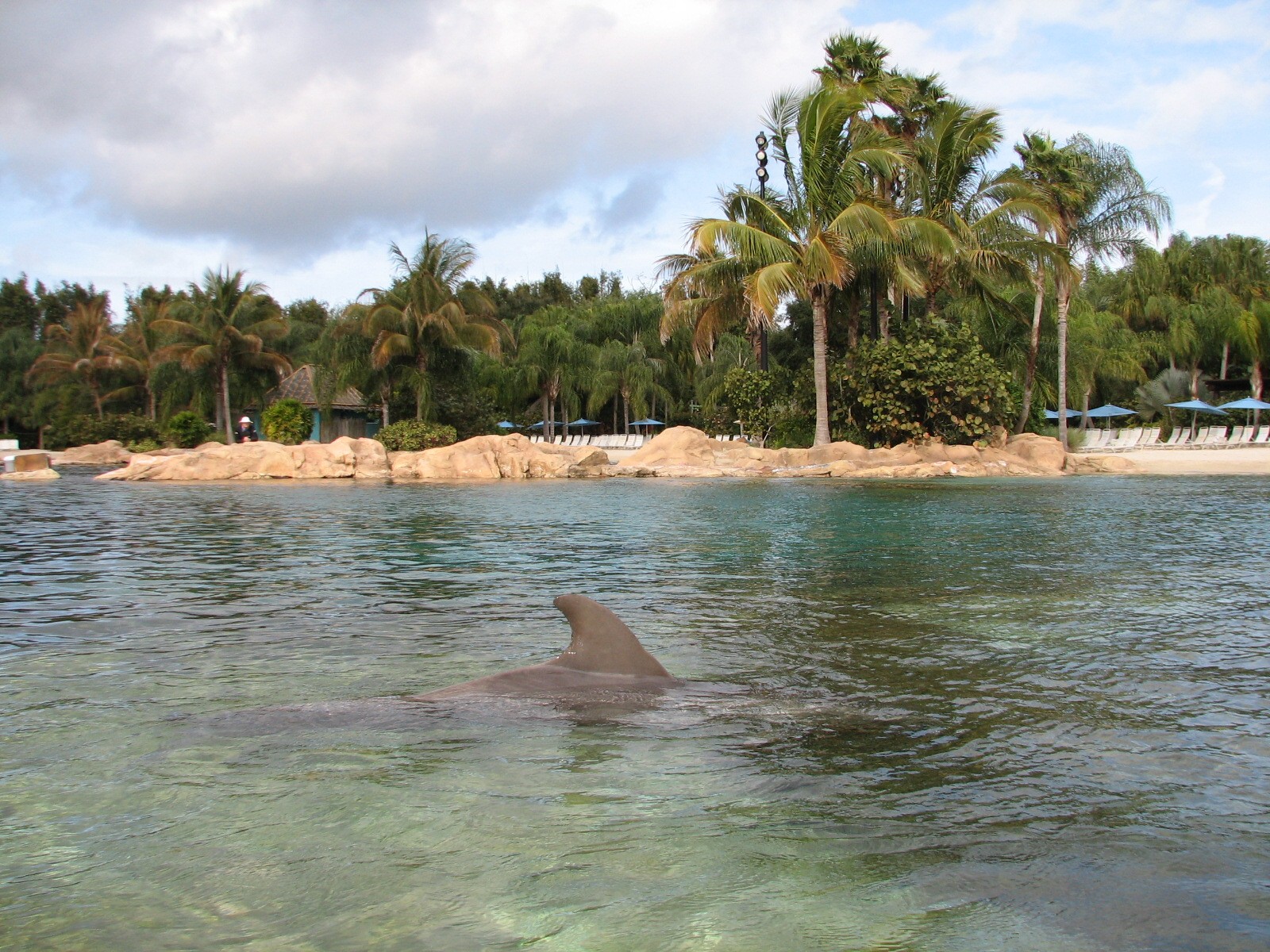 Discovery Cove - Dolphin Lagoon