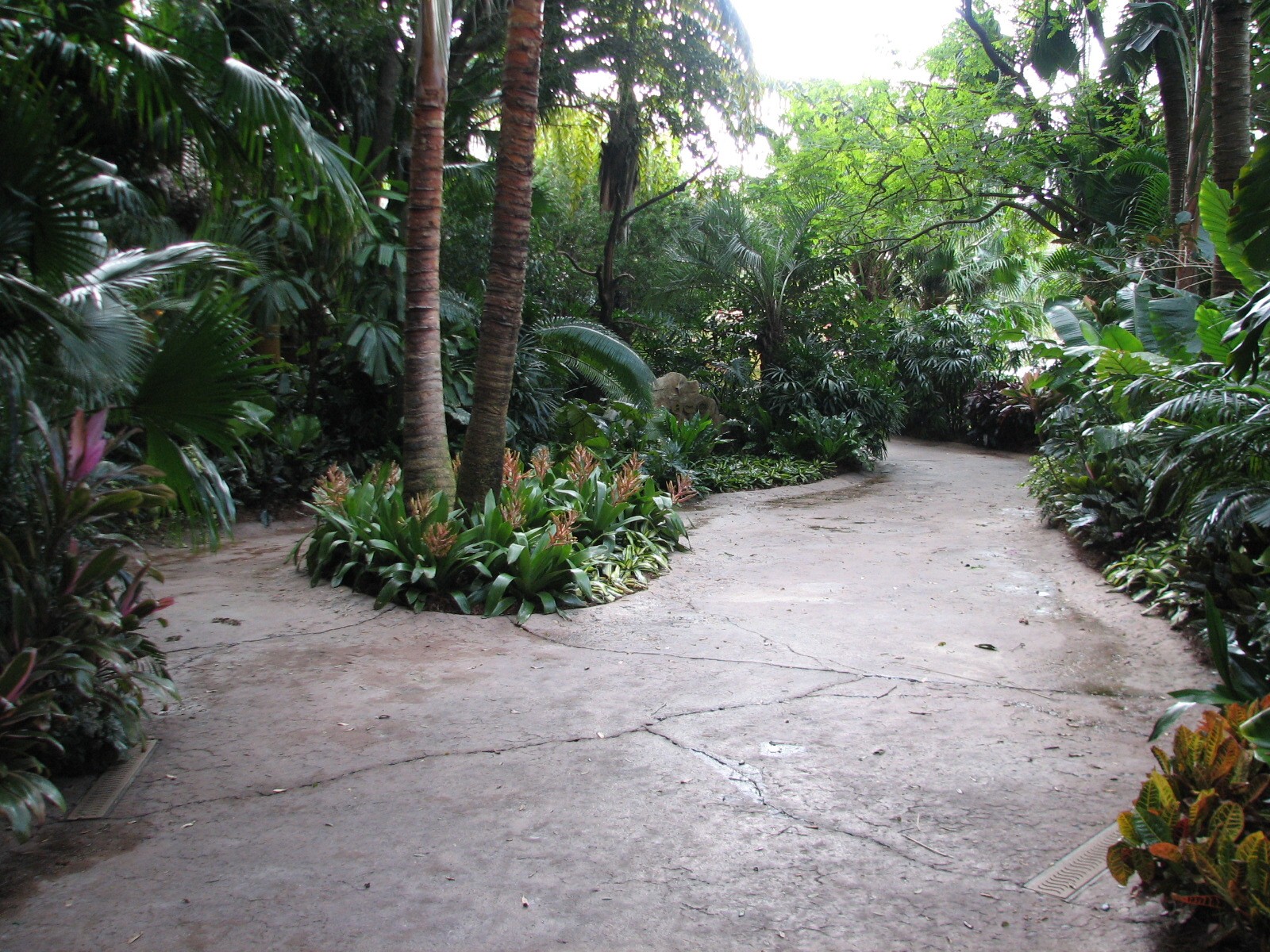 Discovery Cove - Entry Walkway