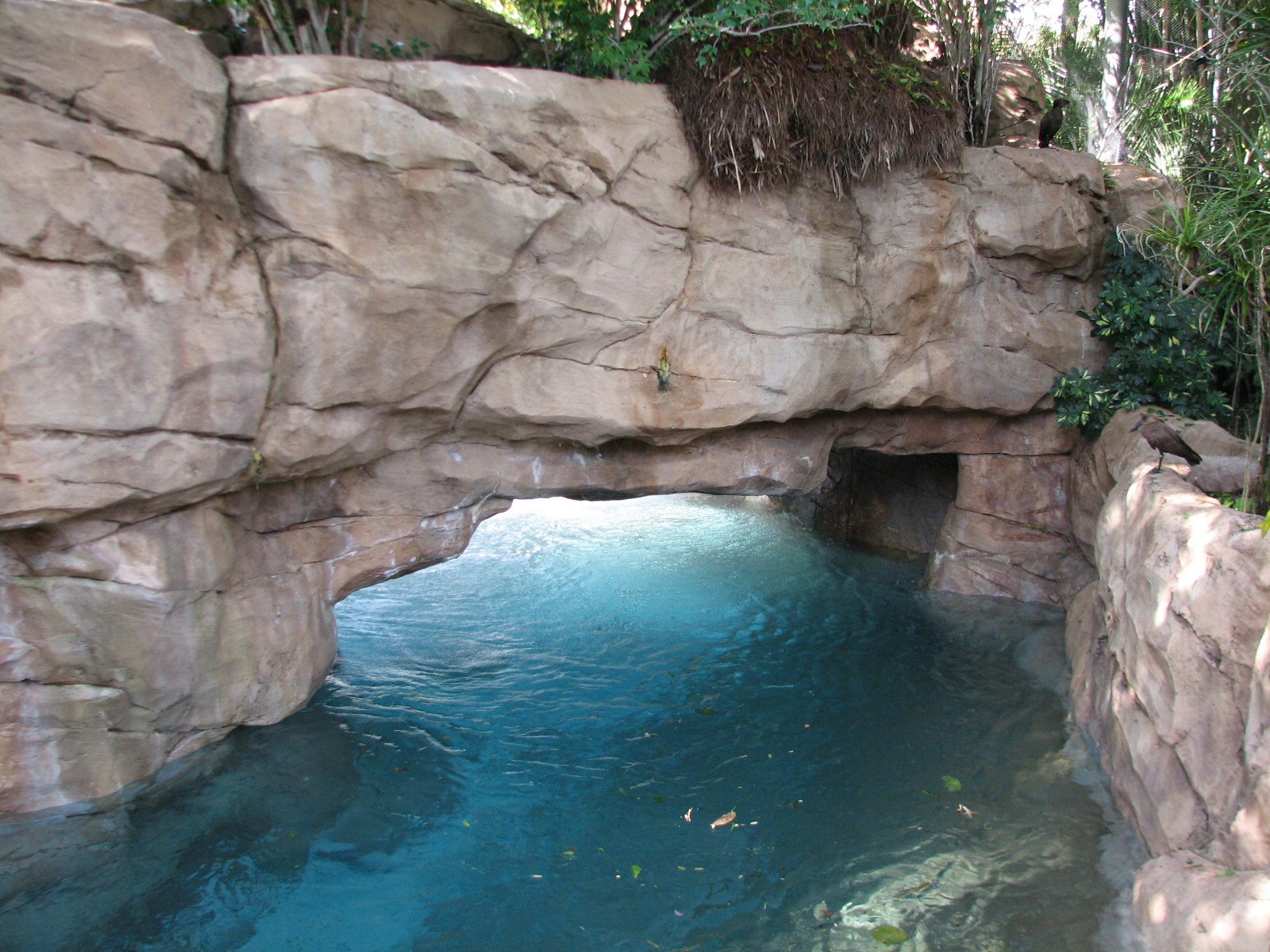Discovery Cove - Explorers Aviary - Wind-away River Entrance
