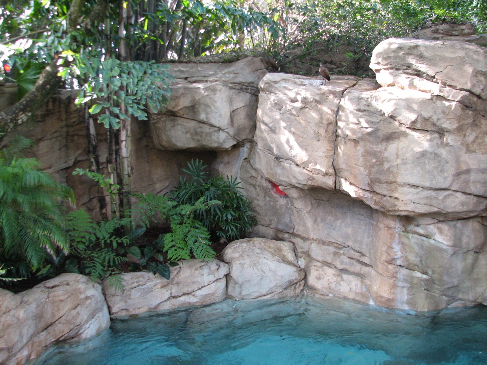 Discovery Cove - Explorers Aviary - Wind-away River