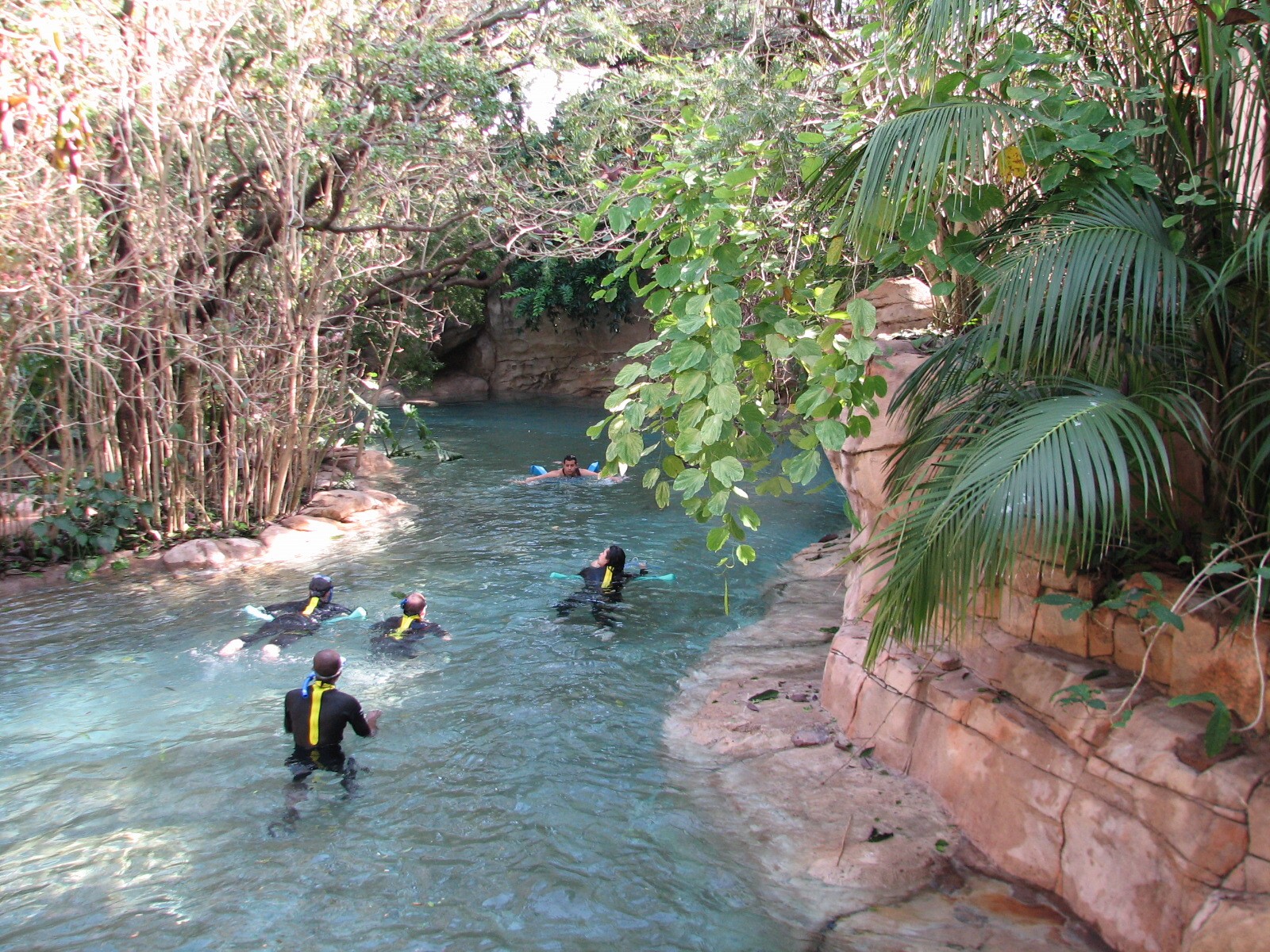 Discovery Cove - Explorers Aviary - Wind-away River
