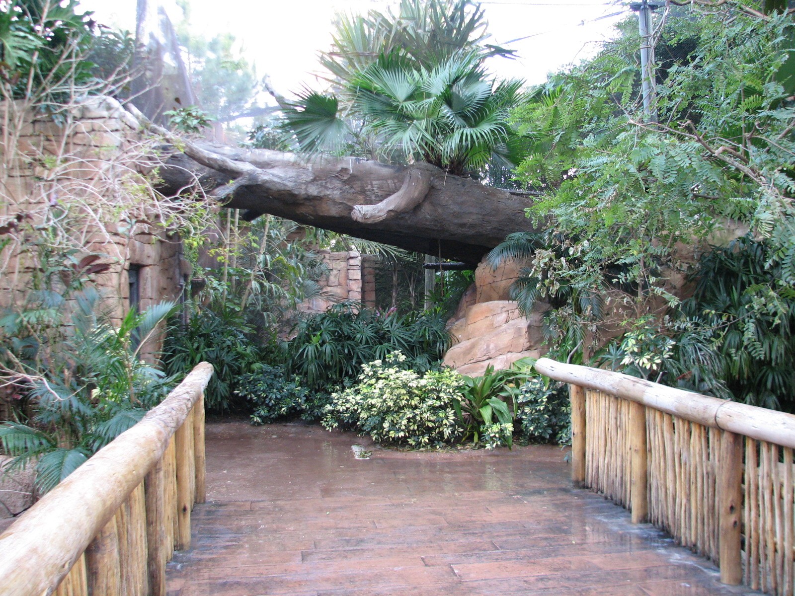 Discovery Cove - Explorers Aviary