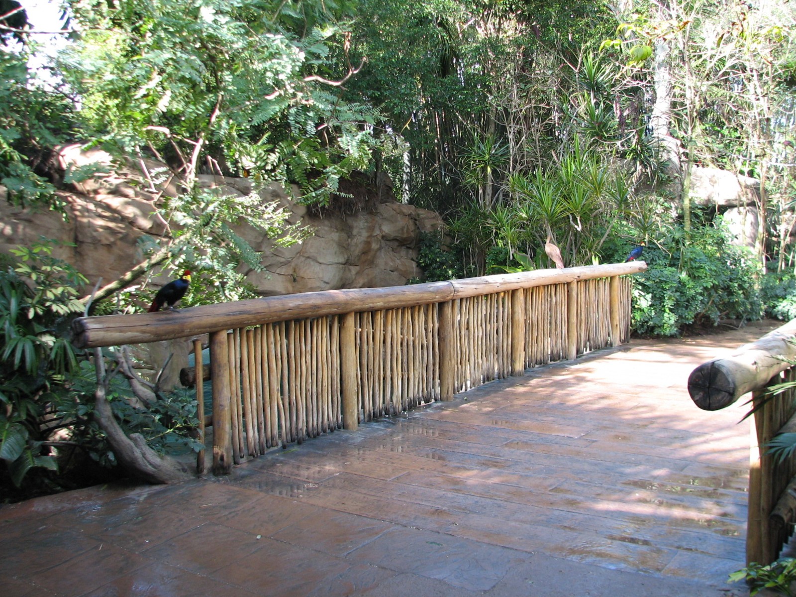 Discovery Cove - Explorers Aviary