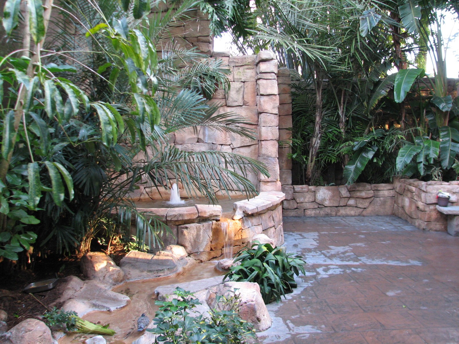 Discovery Cove - Explorers Aviary