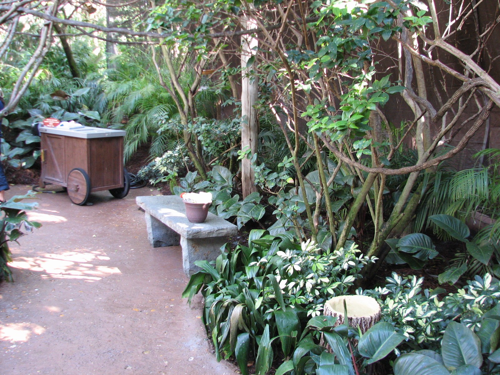 Discovery Cove - Explorers Aviary