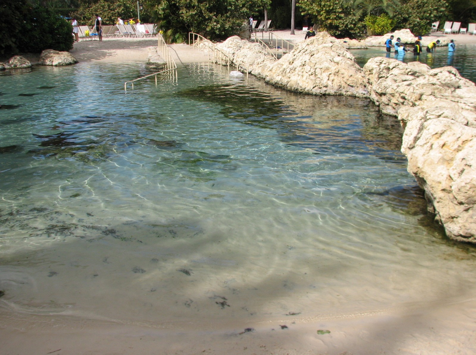 Discovery Cove - Tropical Reef- Cownose Ray Lagoon