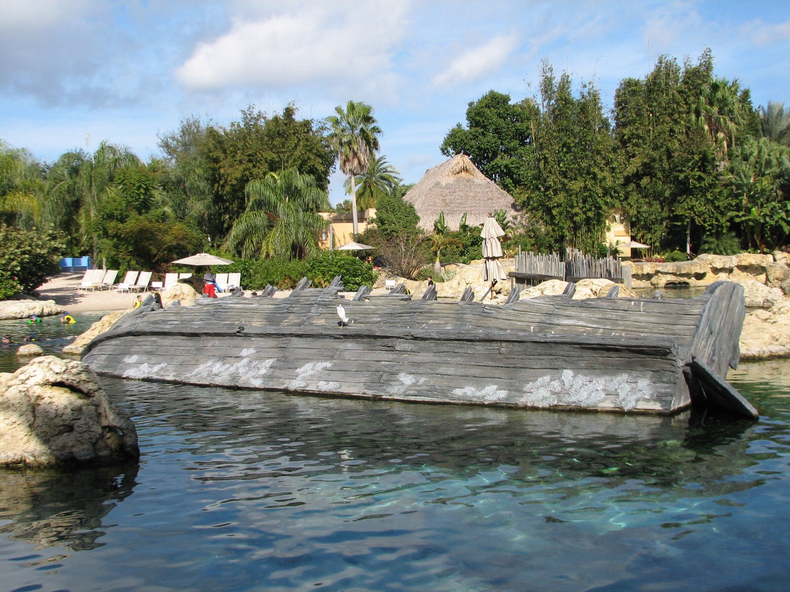 Discovery Cove - Tropical Reef - Shipwreck Barracuda Exhibit