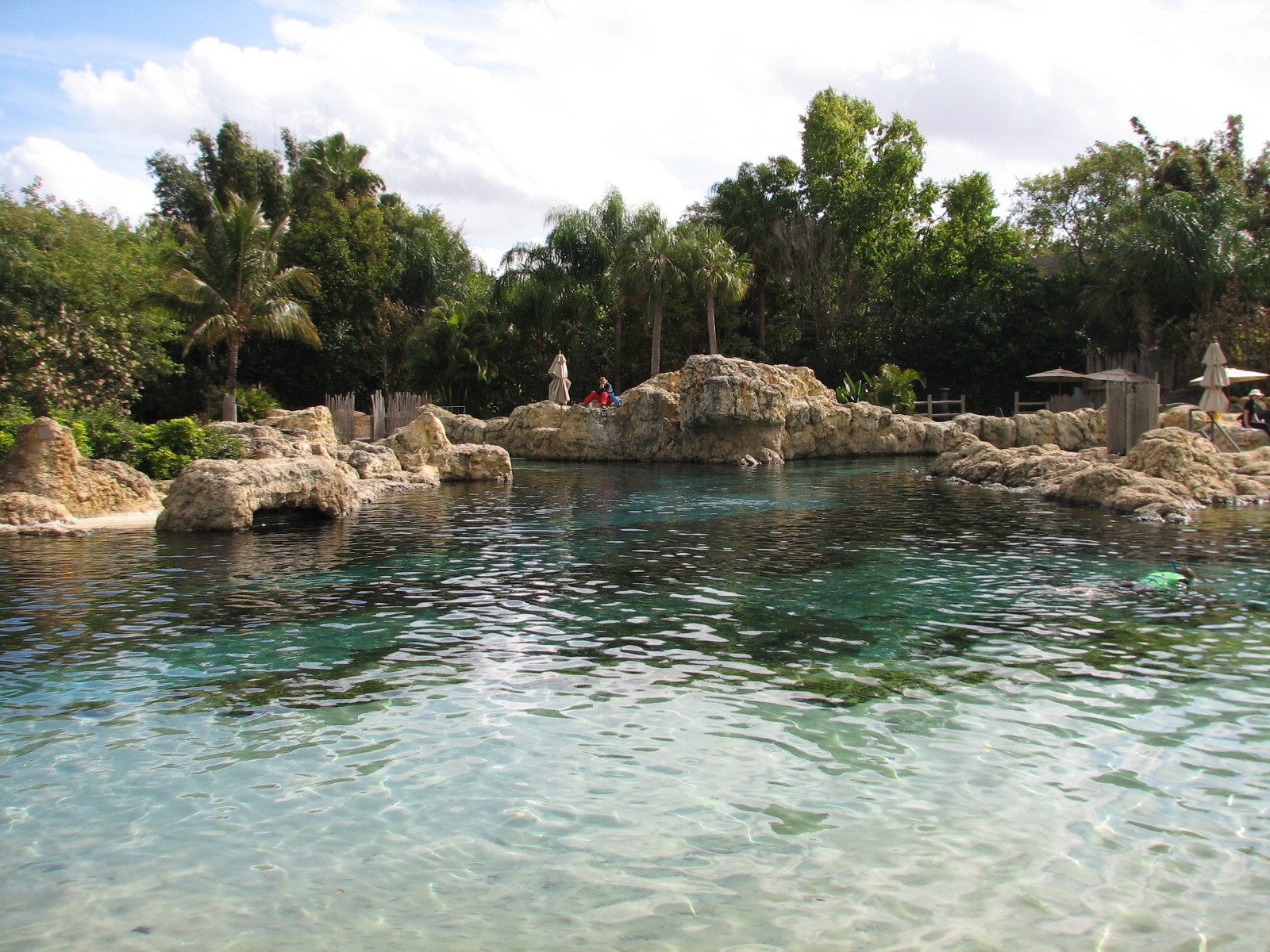 Discovery Cove - Tropical Reef