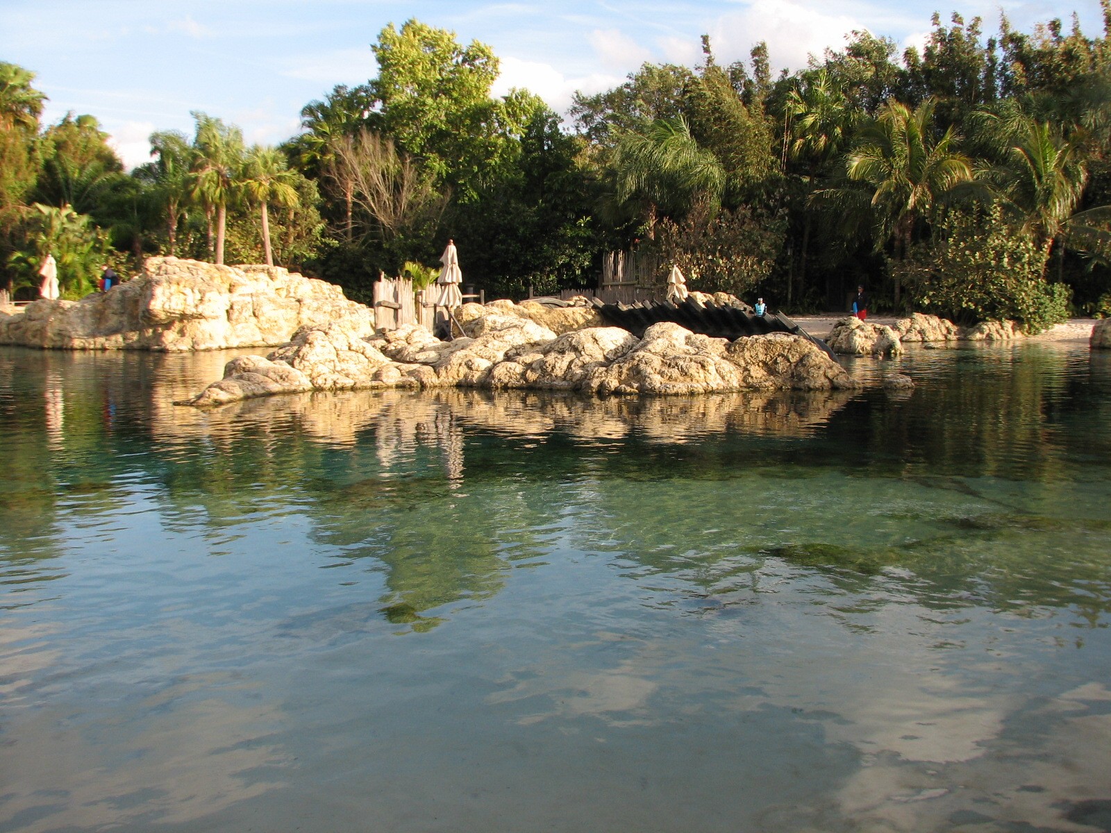 Discovery Cove - Tropical Reef