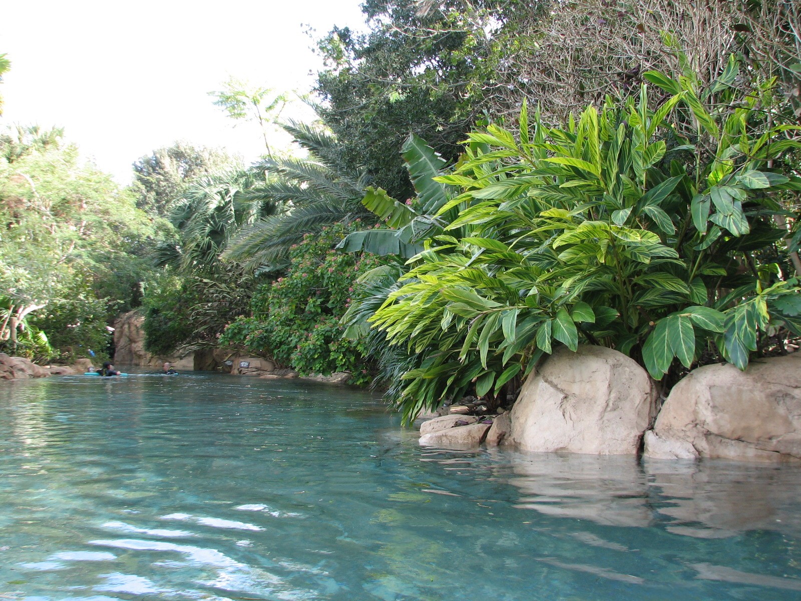 Discovery Cove - Wind-away River